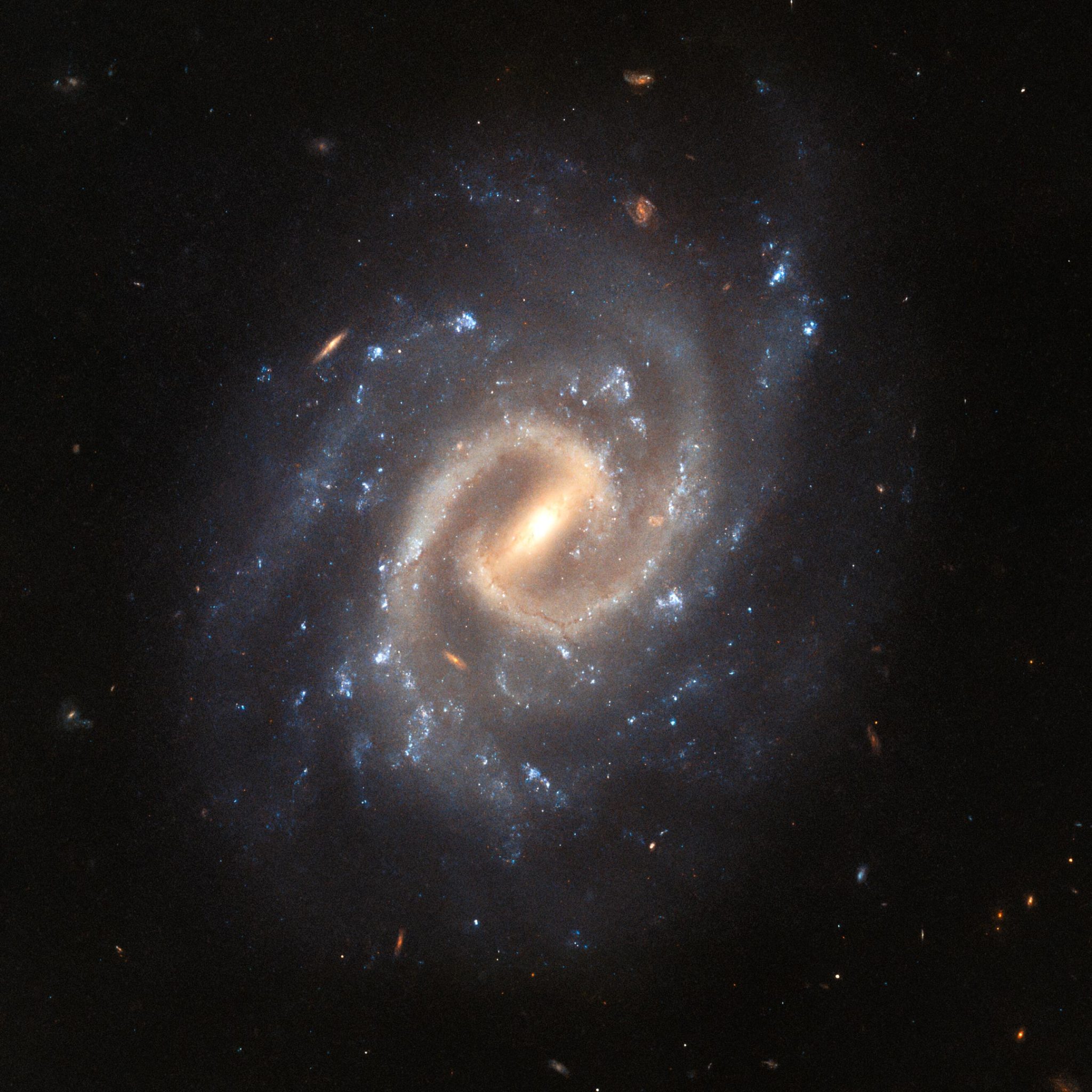 Spiralgalaxie UGC 12295