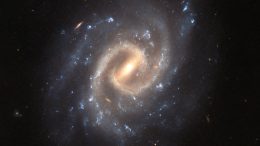 Spiral Galaxy UGC 12295