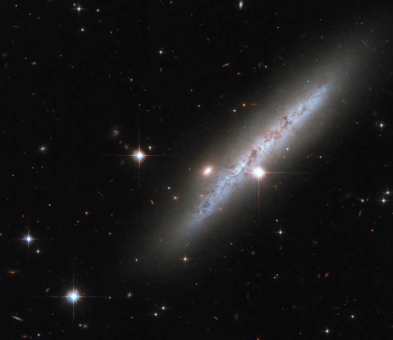 Spiral Galaxy UGC 2890