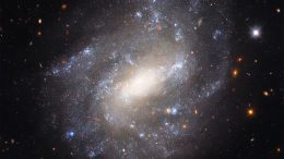 Spiral Galaxy UGC 9391