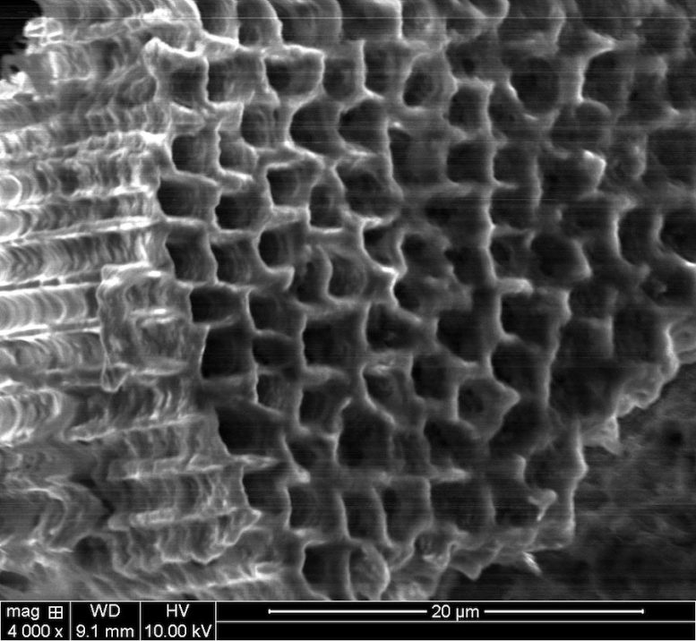 Sponge Formed From Solid Silicon Wafer
