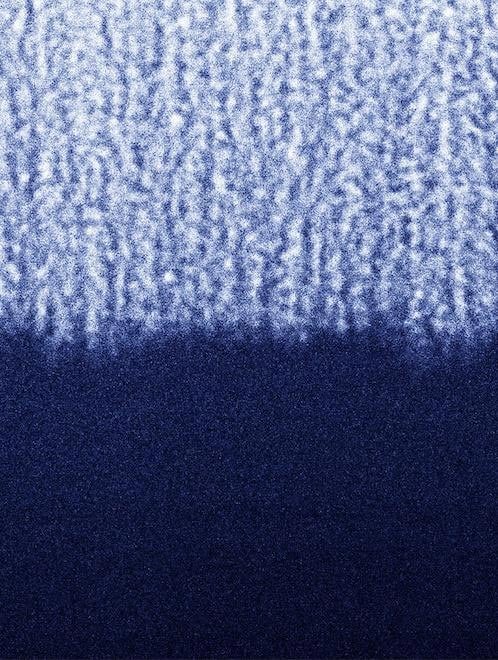 Spongy Solar Cell Under Microscope