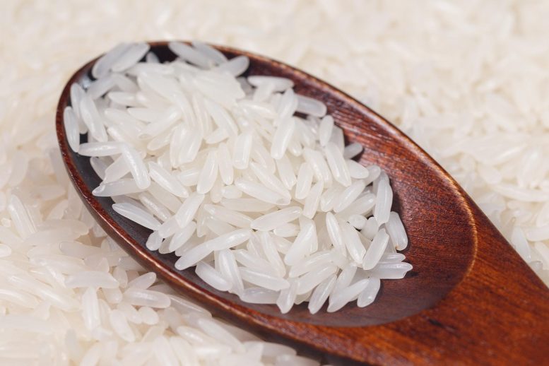 Spoon White Rice