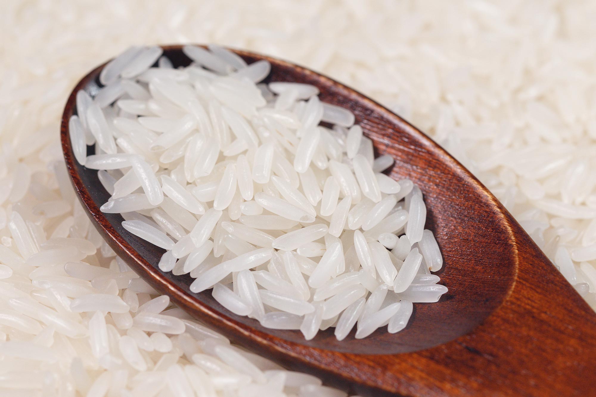 Researchers Develop a Higher, Much less Poisonous Sort of Rice