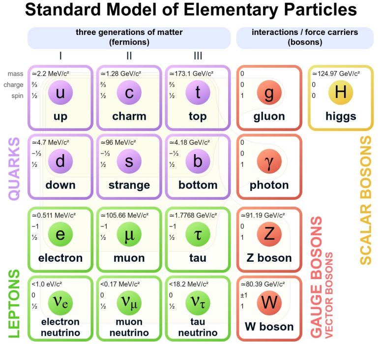 โมเดลมาตรฐานของ Elementary Particles Graphic