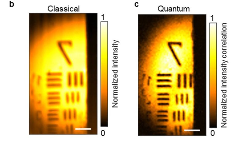 Standard and Quantum Microscopy Image Comparison