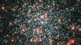 Star Cluster NGC 2203