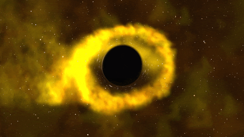 Star Destroying Black Hole