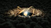 Star Surrounded by Protoplanetary Disk
