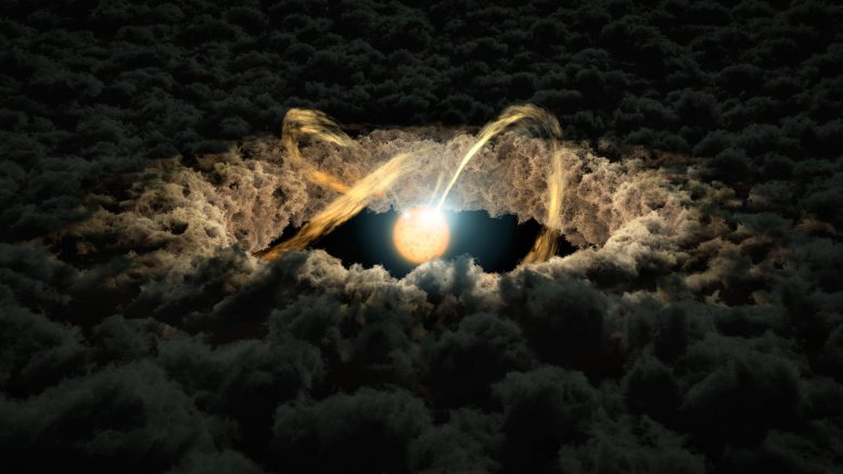 Star Surrounded by Protoplanetary Disk
