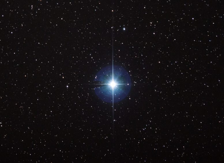 Star Vega