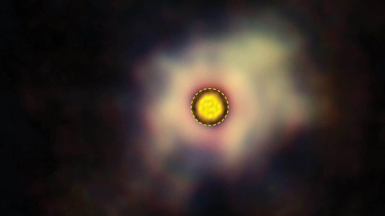 Starlight Around the Star R Doradus