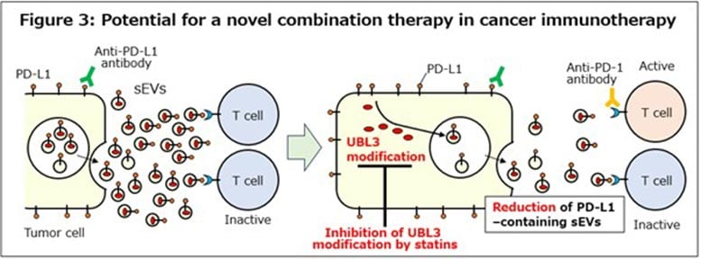 Statin-Based Enhancement of Cancer Immunotherapy