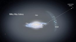 Stellar Motions in Outer Halo Shed Light on Milky Way Evolution