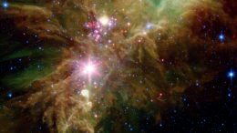 Stellar Snowflake Cluster Crop