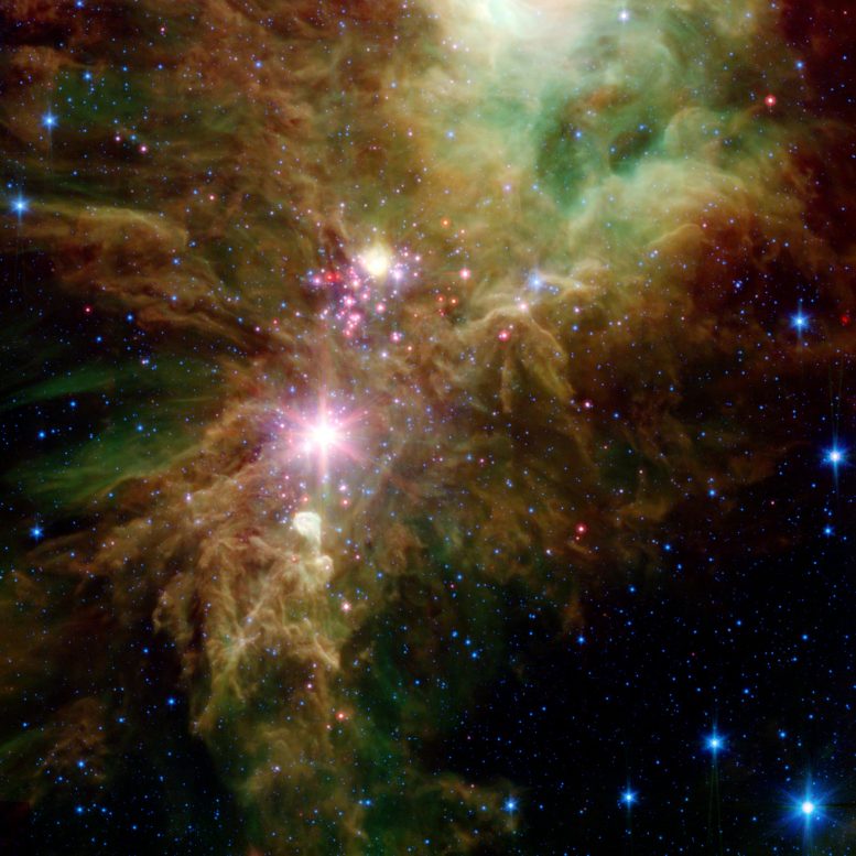 Stellar Snowflake Cluster Crop