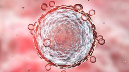 Stem Cell Illustration
