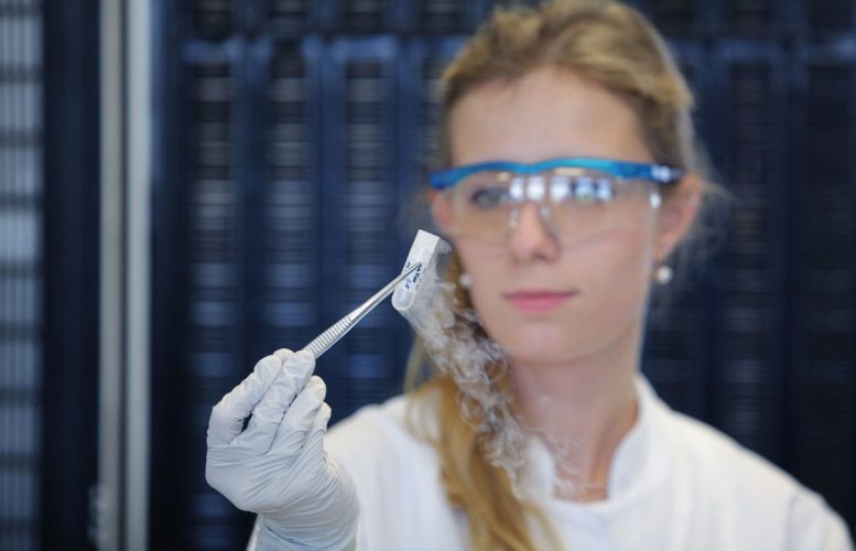 Stem Cells Preserved in Liquid Nitrogen for BOHEME Study