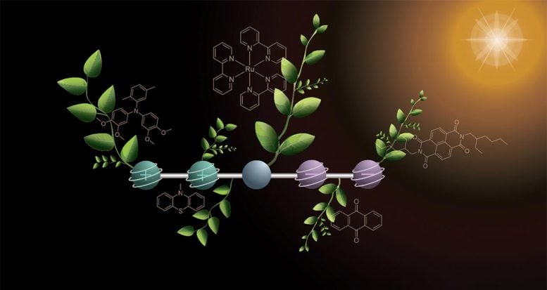 This Plant-Inspired Molecule Could Be the Key to Artificial Photosynthesis