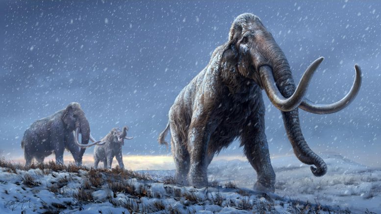 Steppe Mammoth Illustration