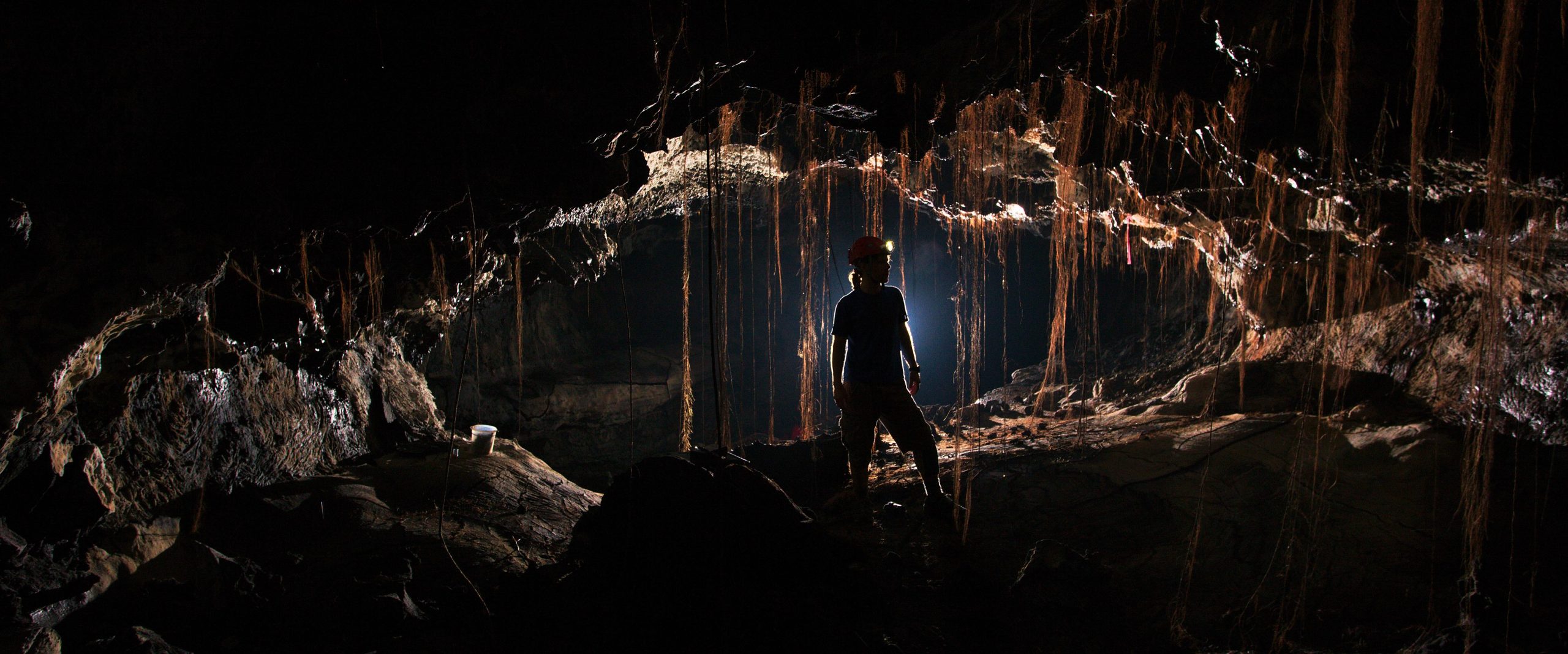 Starożytna „ciemna materia” drobnoustrojów – tysiące nieznanych gatunków bakterii odkryto w jaskiniach lawowych na Hawajach