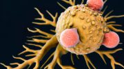 Stimulating Major Branches of the Immune System Halts Tumor Growth