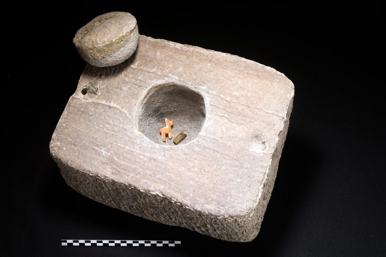 Stone Box Carved Shell Llama