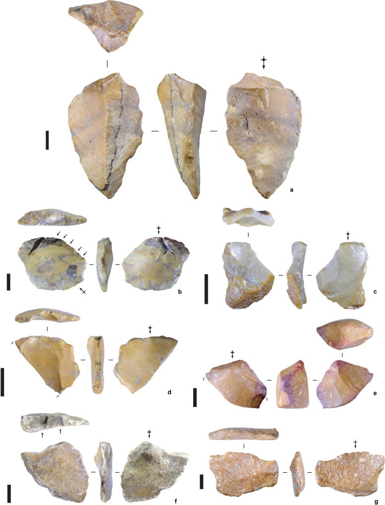 Stone Tools Were Excavated From Calio