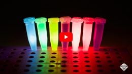Storing Data As Mixtures of Fluorescent Dyes