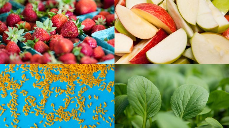 Fragole, Mele, Legumi, Carboidrati