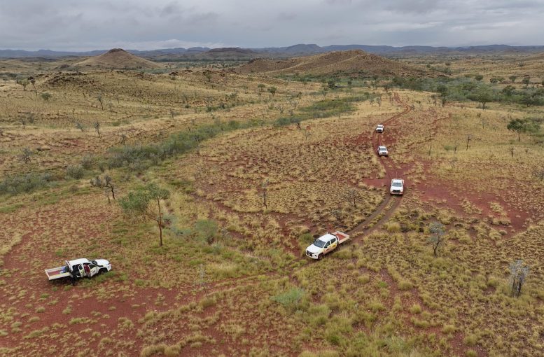 Stromatolites Investigation Western Australia Pilbara Region