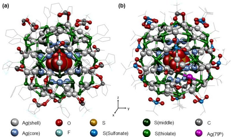 Structural Architectures of Anion Templated Ag NCs