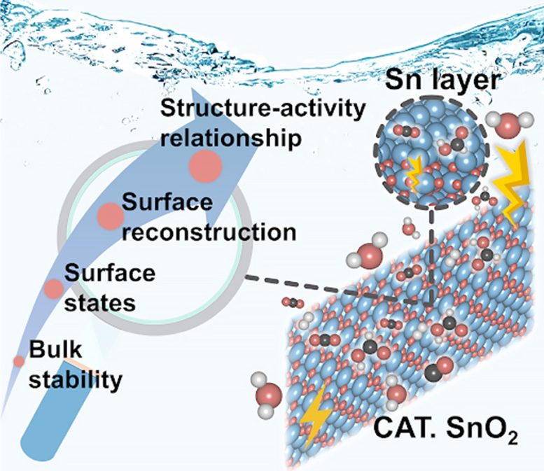 מבנה יחסי פעילות של נכסים לתגובת הפחתת CO2 אלקטרוכימית על פני SnO2