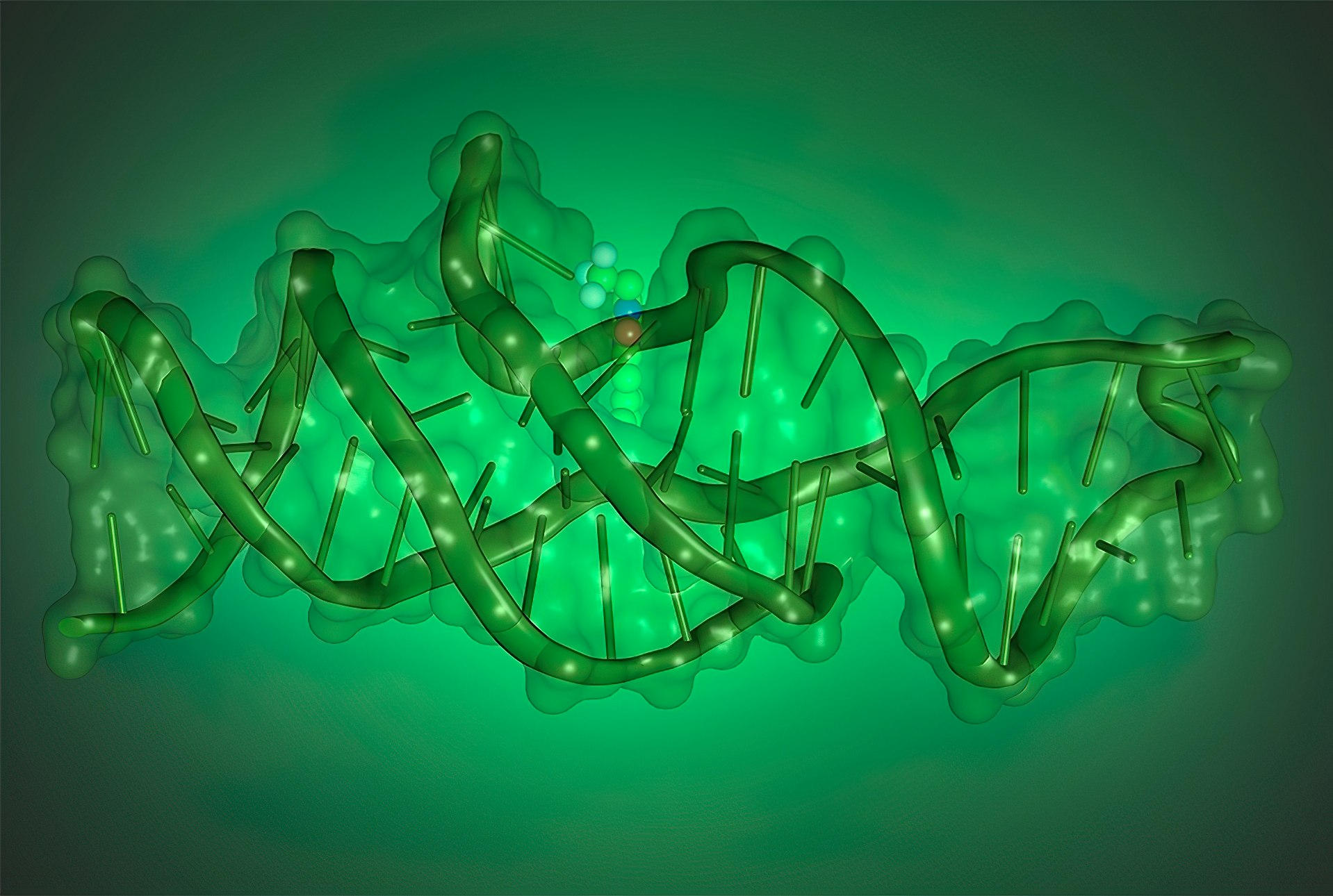 Uncovering The Intricate 3D Architecture Of Lettuce DNA A Breakthrough 