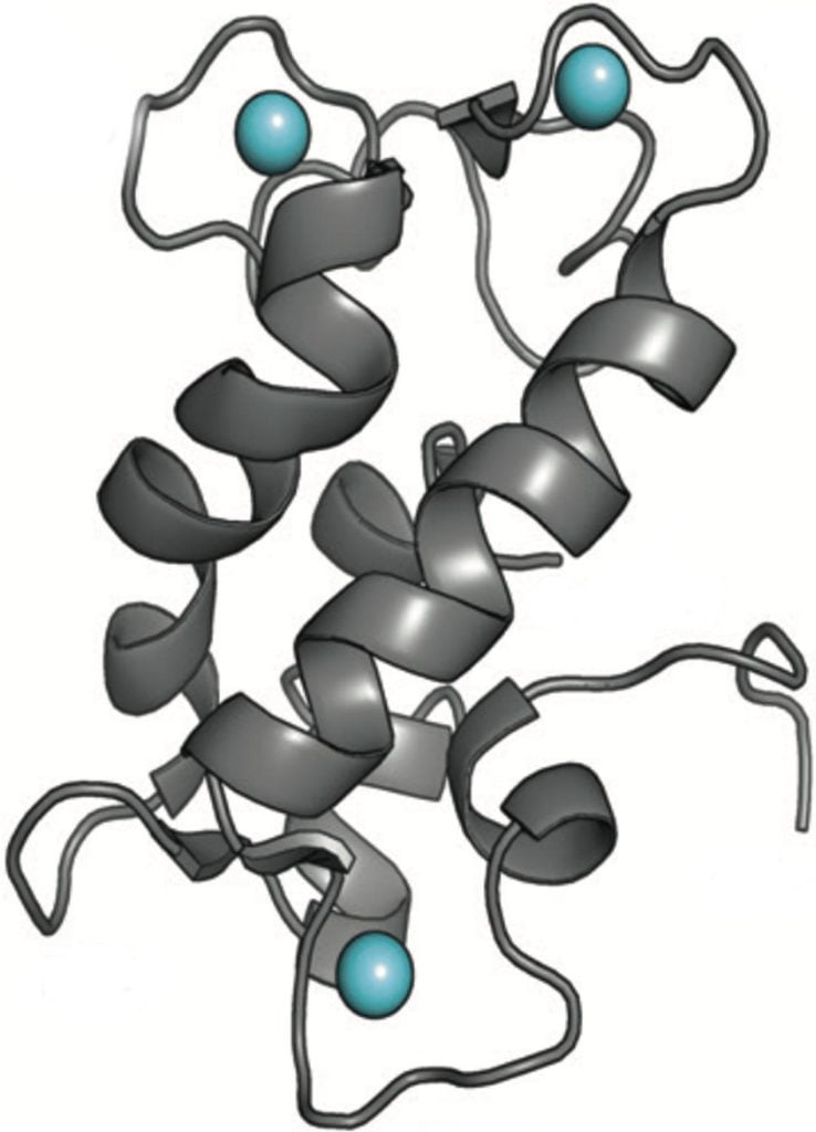 Structure of a Natural Protein Called Lanmodulin