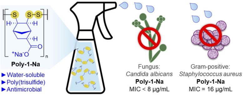 Structure of the New Antimicrobial Poly 1 Na