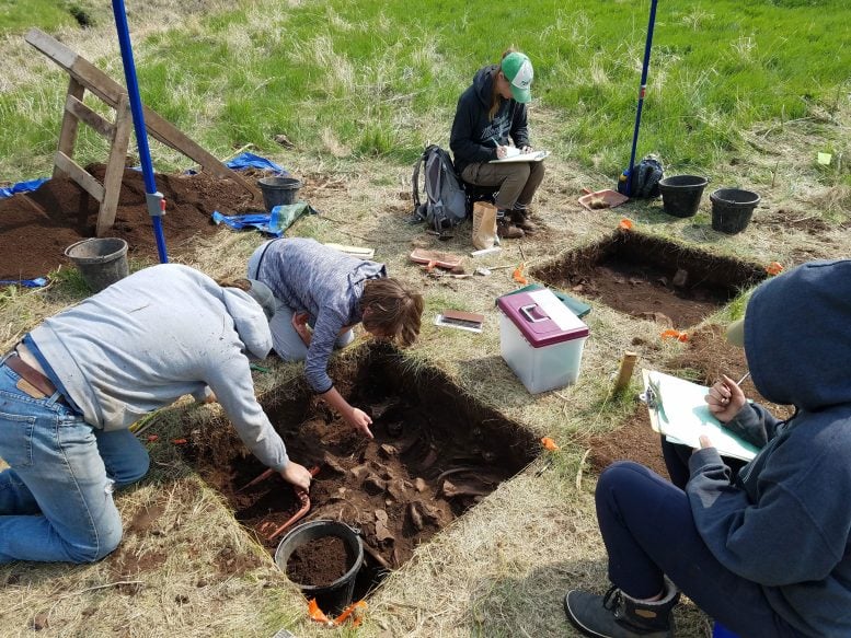 Students Conducting Archaeological Excavations