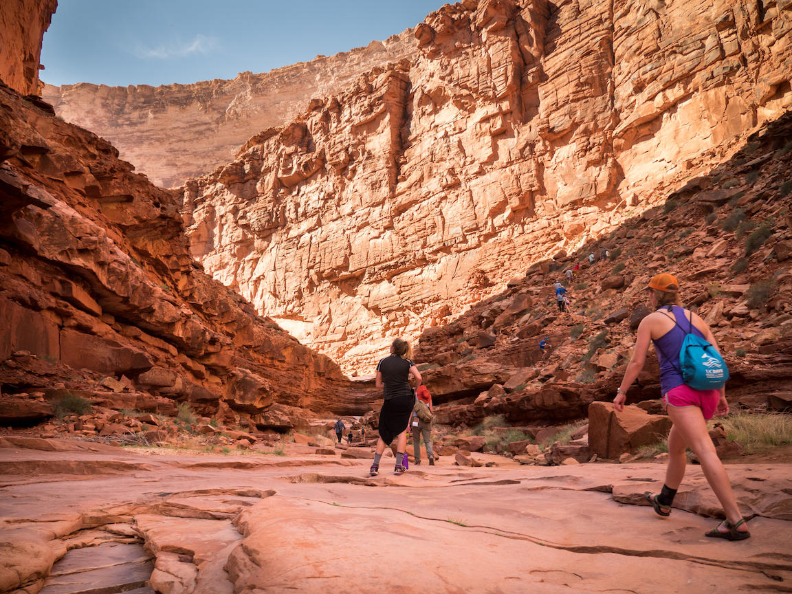 A New Look at the Climate of the West Coast: Only a Few Thousand Years Old - Vimarsana News