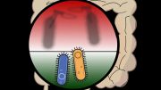 Study Shows Friendly Bacteria Aggressively Protect Their Territory