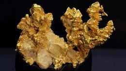 Stunning Specimens of California Gold