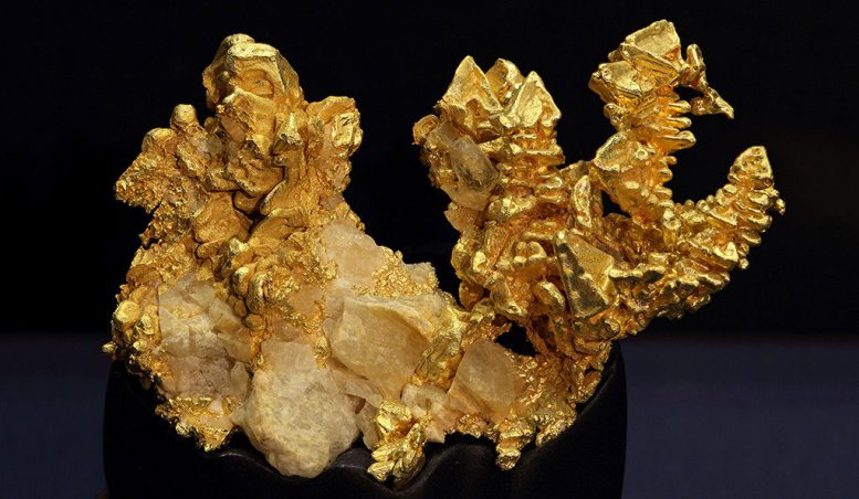 Stunning Specimens of California Gold