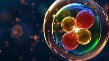 Beautiful and Charming: Physicists Discover a New Tetraquark