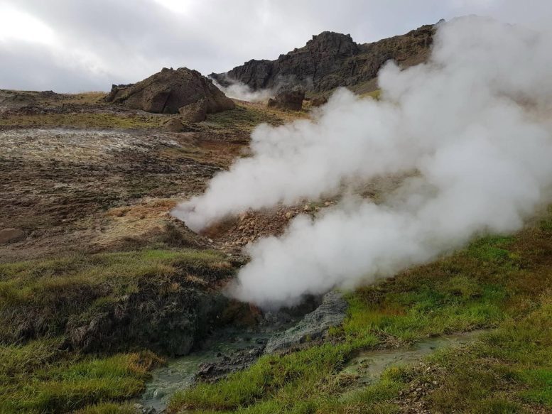 Subarctic Grassland Undergoing Natural Geothermal Warming in Iceland