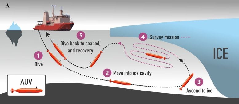 Buceo submarino bajo el gráfico Dotson