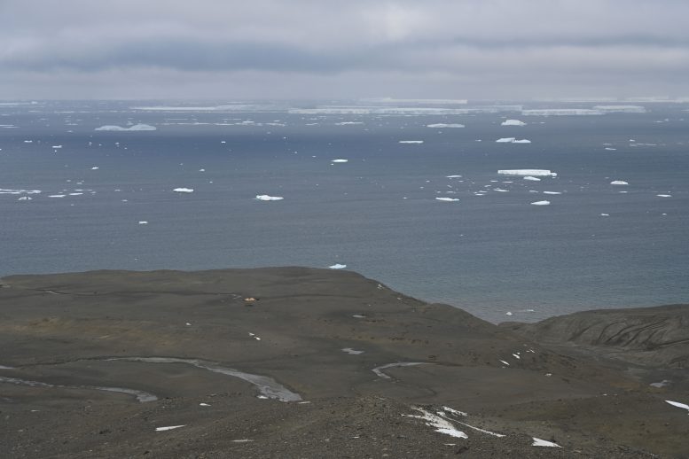Submeseta Formation on Seymour Island