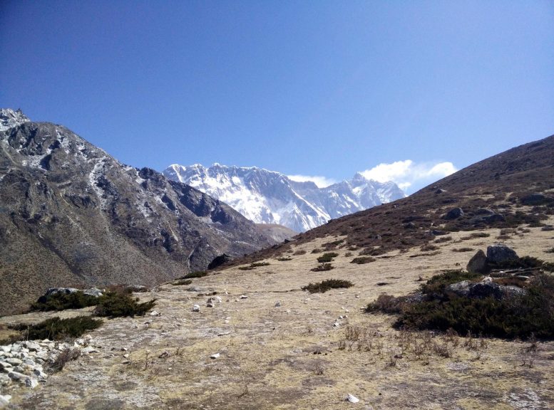 Subnival Vegetation in the Himalayan Region