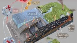Subsea and Coastal Permafrost Ecosystems