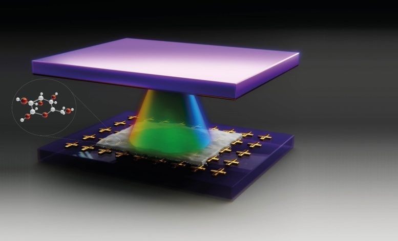 Sugar Coating Quantum Systems To Harvest Science