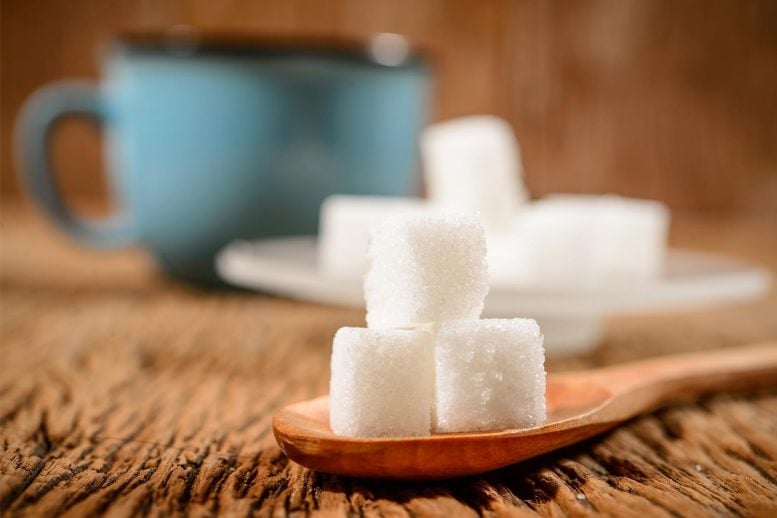 Sugar Cubes and Coffee