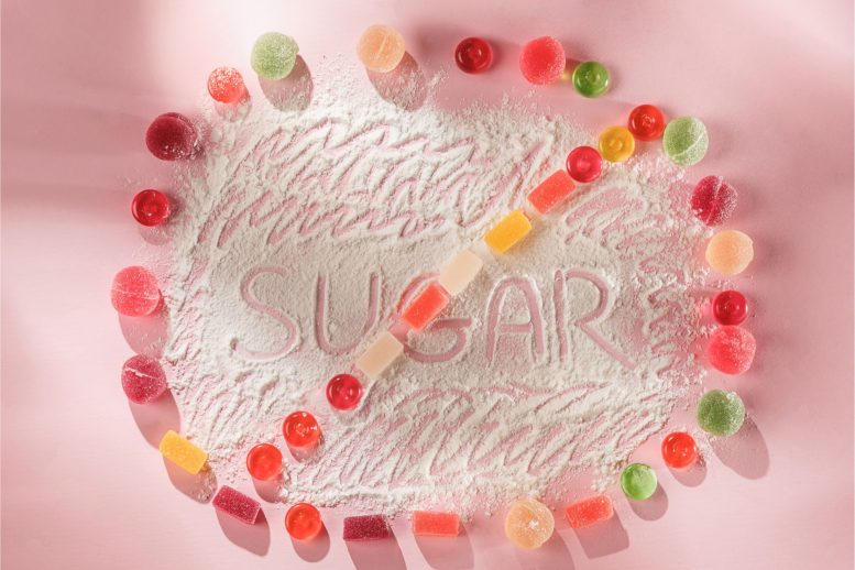 Sugar Free Candy